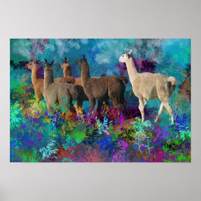 Llama Five Walk in Fantasy Land for Camelids Poster (Front)