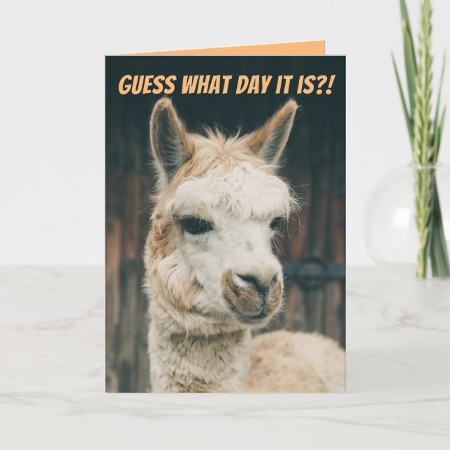 Llama- Guess What Day It Is- Not Hump Day Card (Front)