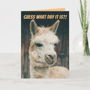 Llama- Guess What Day It Is- Not Hump Day Card