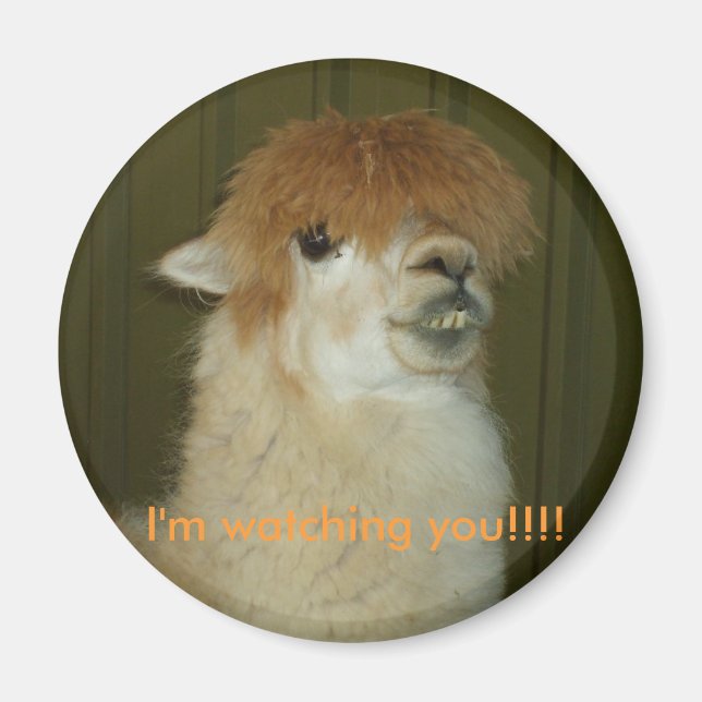 Llama, I'm watching you!!!! Magnet (Front)