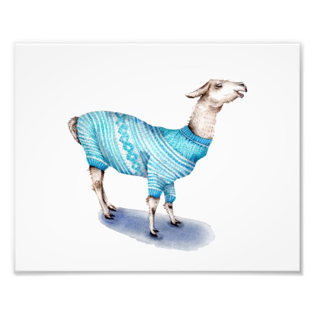 Llama in Blue Sweater Photo Print (Front)