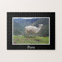 Llama Inca Trail Cusco Peru Andes Mountains Inka