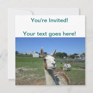 Llama Invitation