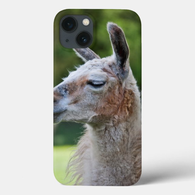 Llama iPad Case (Back)