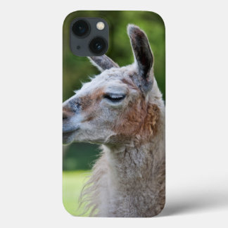 Llama iPad Mini Case