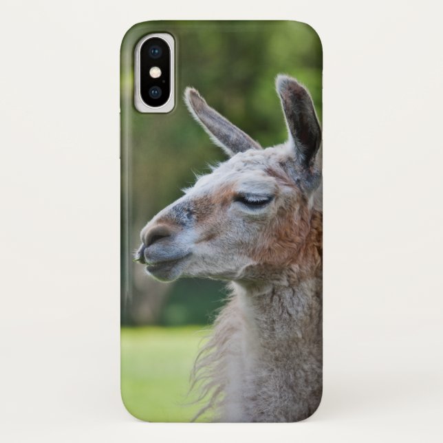 Llama iPhone X Case (Back)