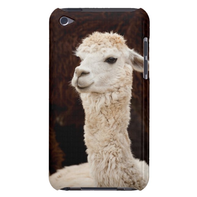 Llama iPod Touch Cover (Back)