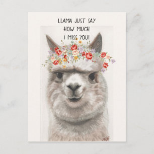 Llama Just Say How Much I MISS YOU Postcard