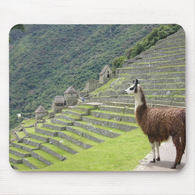 llama lands mouse mat (Front)