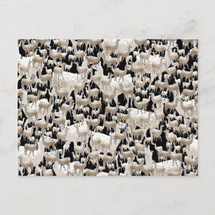 LLama, Llama Postcard