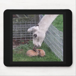 Llama Llove and Bunny Mouse Mat