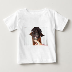 Llama Love Baby T-Shirt