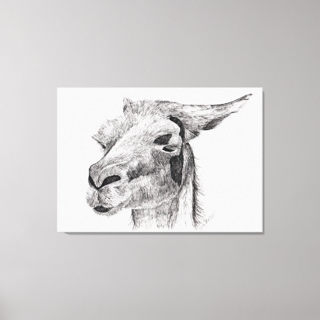 Llama Love Canvas Print (Front)