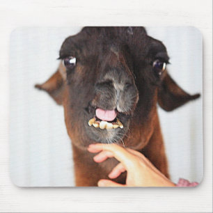 Llama Love Mouse Mat