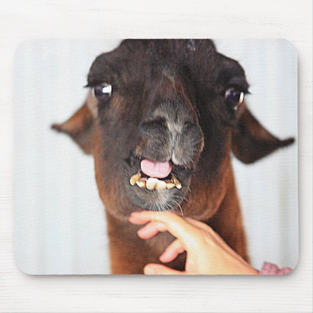 Llama Love Mouse Mat (Front)