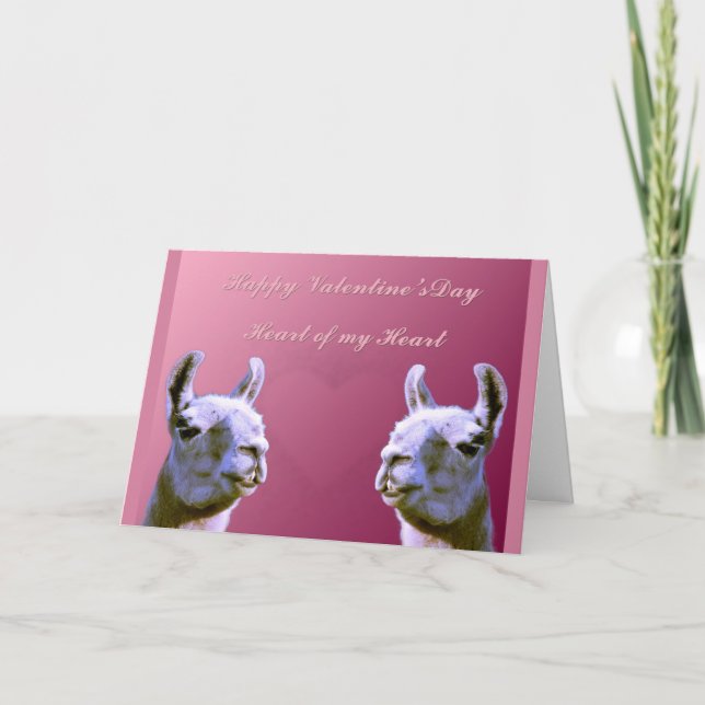 Llama love valentine day heart doube llama holiday card (Front)