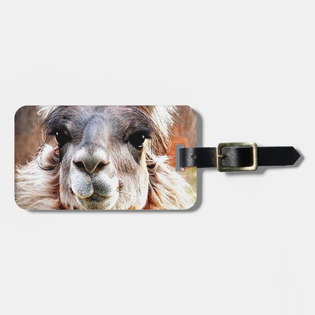 Llama Luggage Tag (Front Horizontal)