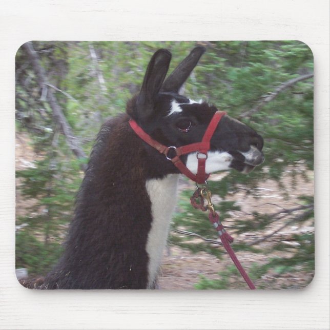Llama Mama Mouse Mat (Front)