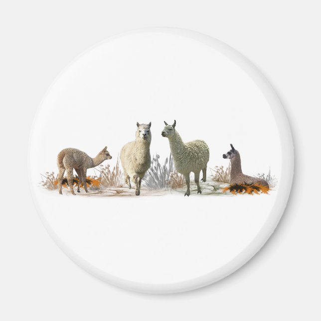 Llama Meadow Magnet (choose color) (Front)