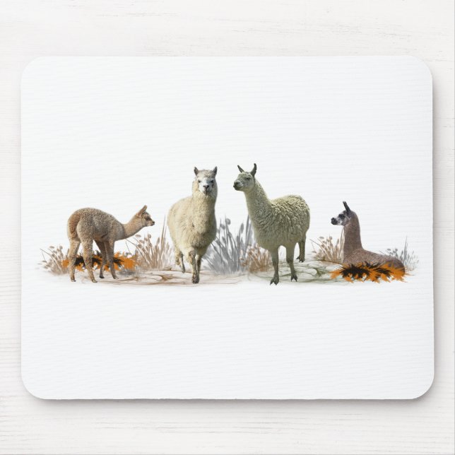 Llama Meadow Mousemat (choose colour) (Front)