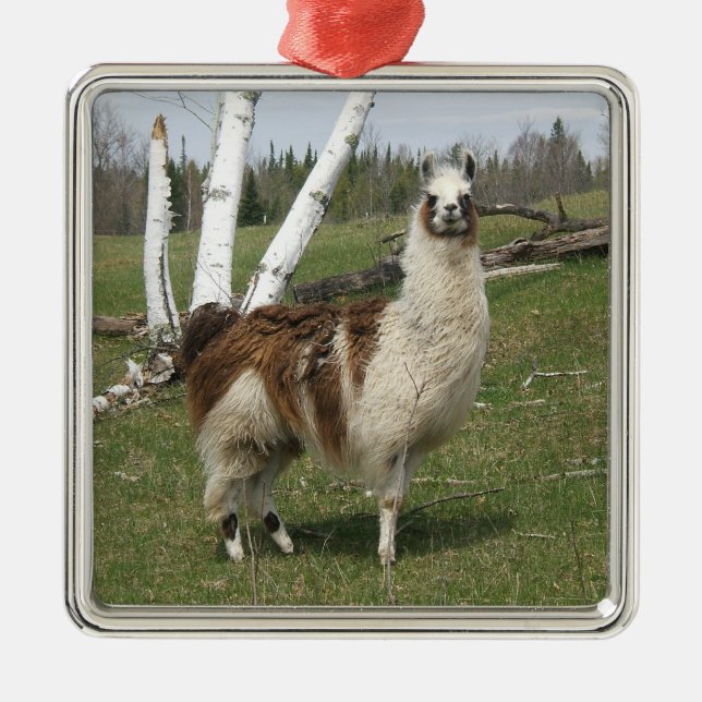 LLAMA METAL TREE DECORATION (Front)