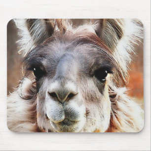 Llama Mouse Mat