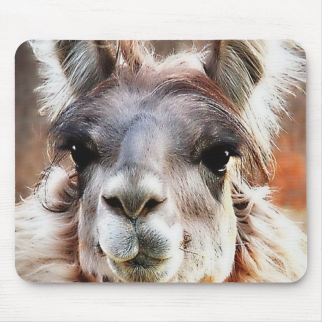 Llama Mouse Mat (Front)