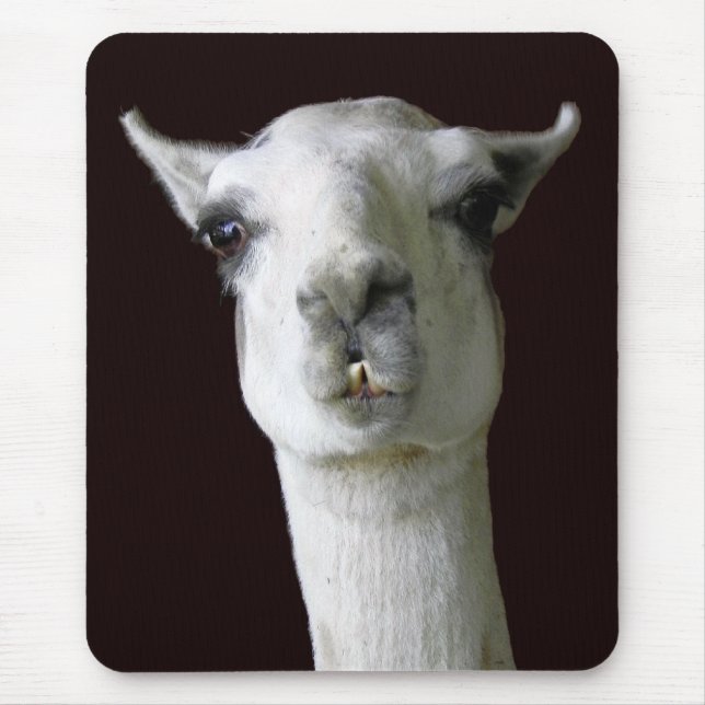 Llama Mouse Mat (Front)