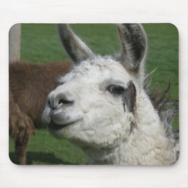 Llama Mouse Pad (Front)