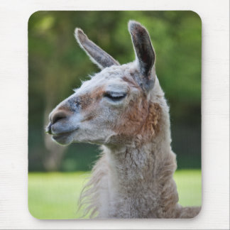 Llama Mousemat