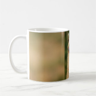 Llama mug