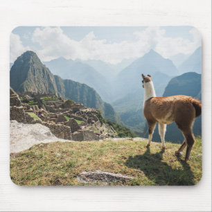 Llama Overlooking Ruins Machu Picchu, Peru Mouse Mat