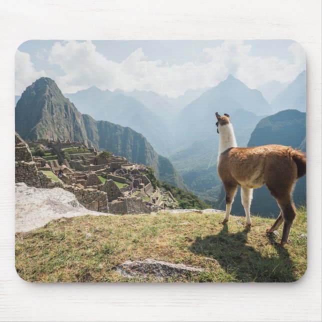 Llama Overlooking Ruins | Machu Picchu, Peru Mouse Mat (Front)