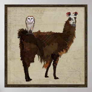 LLAMA & OWL Poster