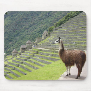 llama pad mouse mat