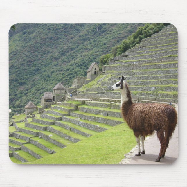 llama pad mouse mat (Front)