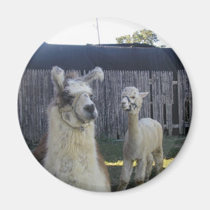 Llama Pals Magnet
