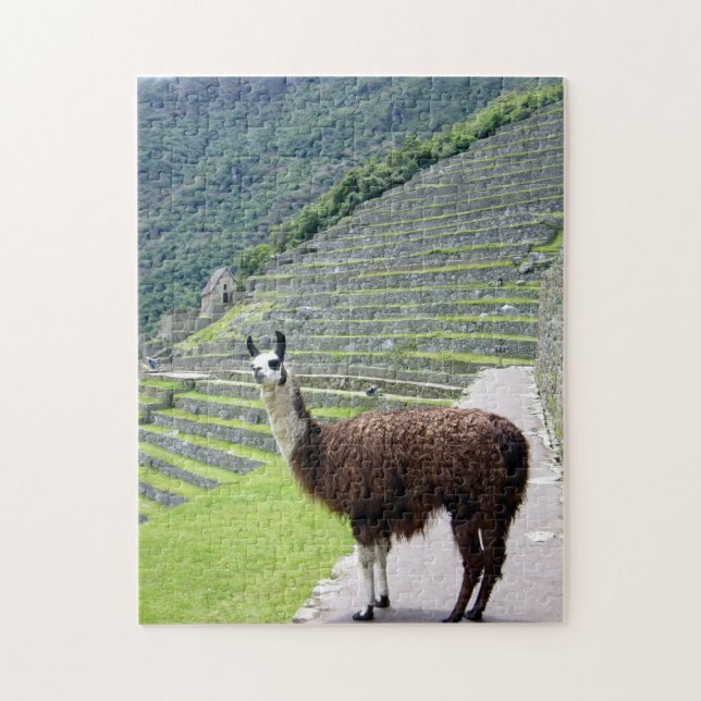 llama peru jigsaw puzzle (Vertical)