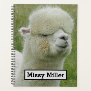 Llama Planner