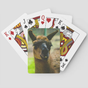 Llama Playing Cards