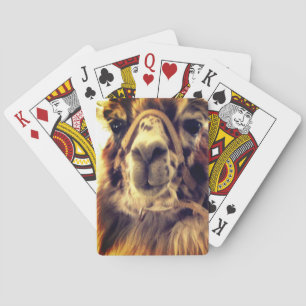 Llama Playing Cards