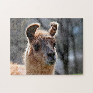 Llama Portrait, Jigsaw Puzzle