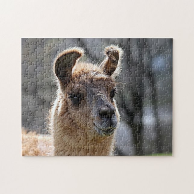 Llama Portrait, Jigsaw Puzzle (Horizontal)