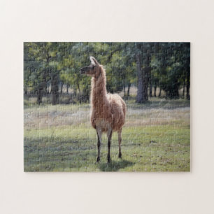 Llama Poser Animal Nature Puzzle