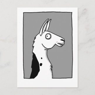 Llama Postcard