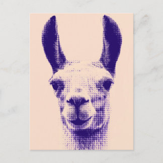 Llama Postcard