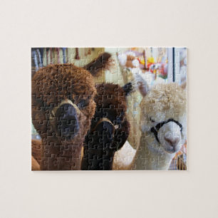 Llama Puzzle