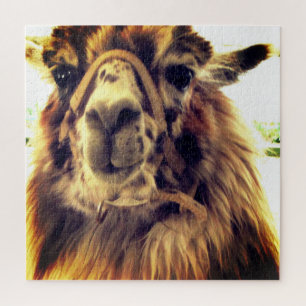 Llama Puzzle