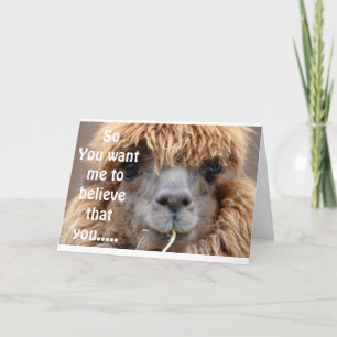 LLAMA SAYS NO WAY YOU ARE *65* BIRTHDAY HUMOR CARD
