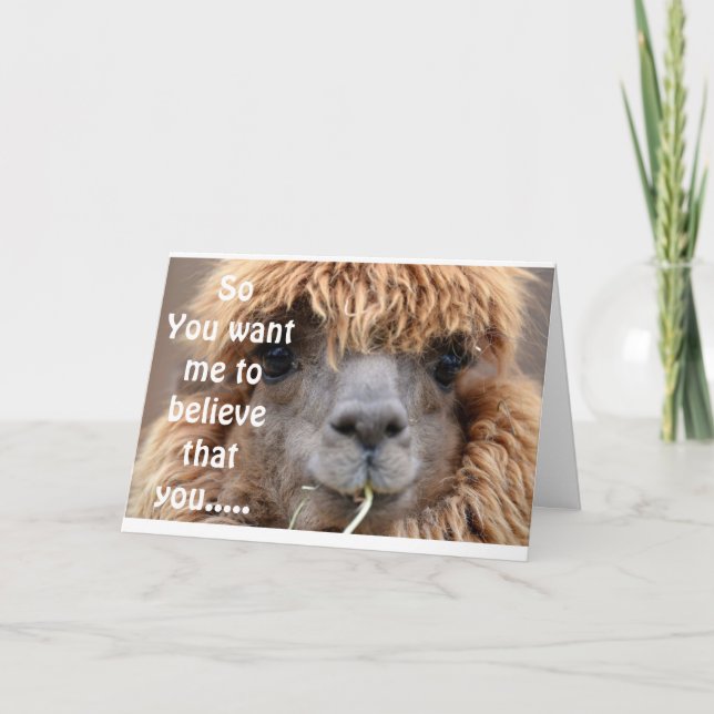 LLAMA SAYS NO WAY YOU ARE *65* BIRTHDAY HUMOR CARD (Front)